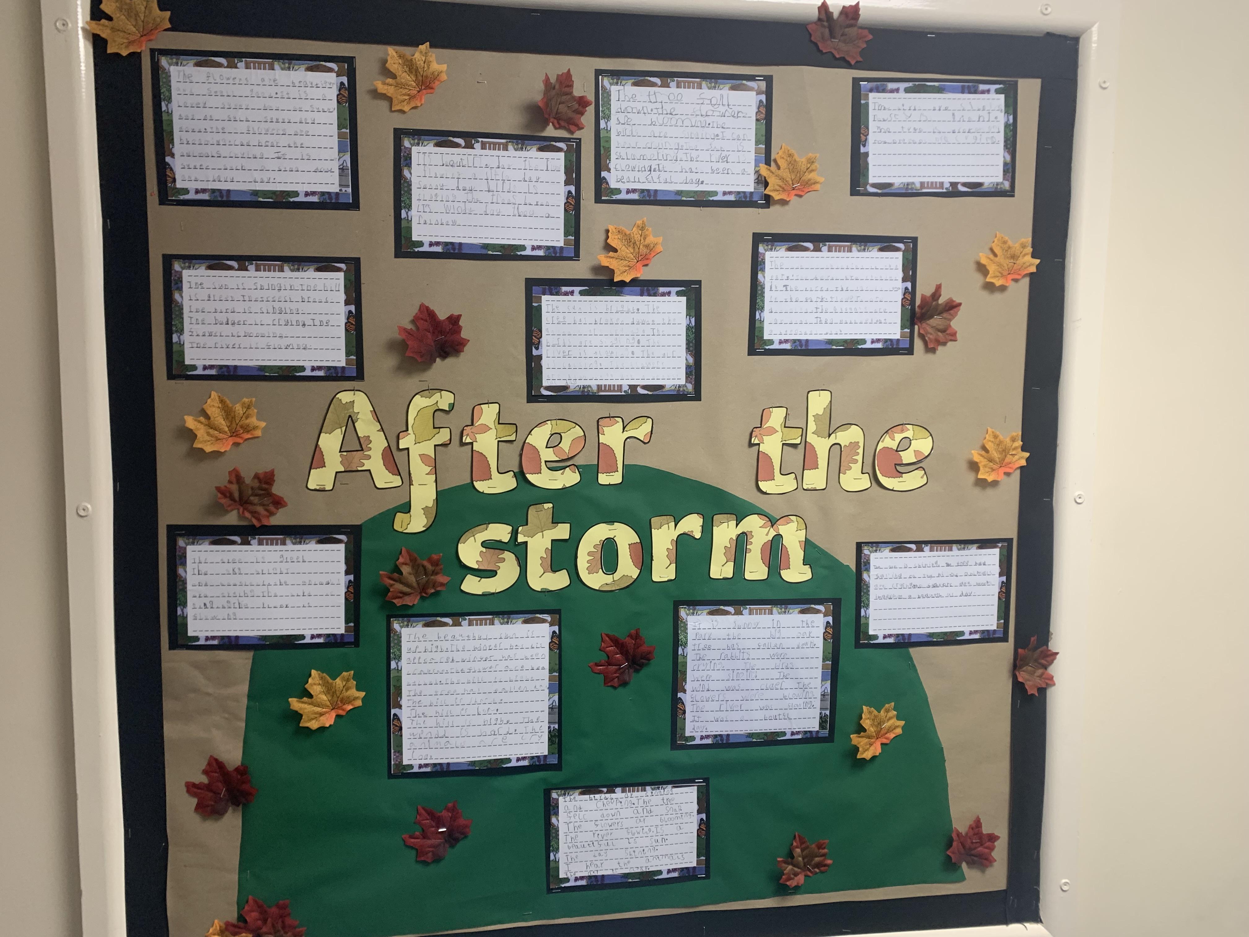 Wheat classes brilliant setting description based on the text 